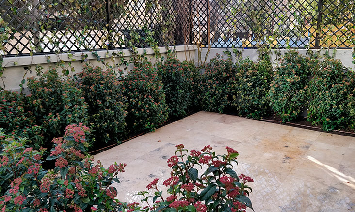 Proyectos de jardinería en patios y terrazas
